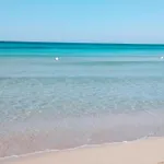 Delle Rose Lido Marini