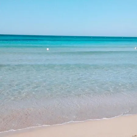 Delle Rose Lido Marini