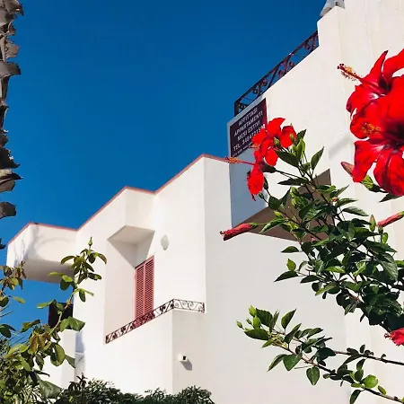 Apartment Delle Rose *