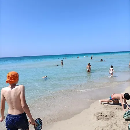 Delle Rose Lido Marini