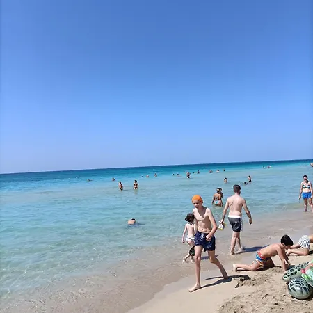 Delle Rose Lido Marini