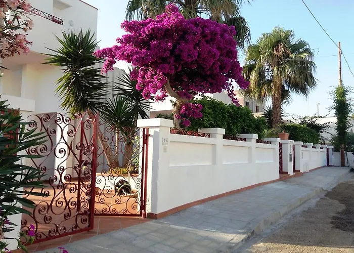 Delle Rose Daire